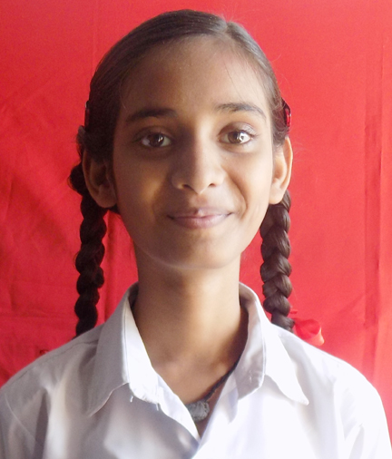 Roshni Parveen Ali
